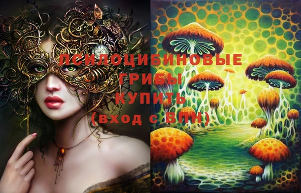 экстази Алексин